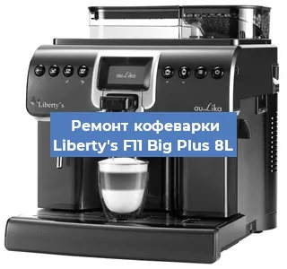 Замена прокладок на кофемашине Liberty's F11 Big Plus 8L в Нижнем Новгороде